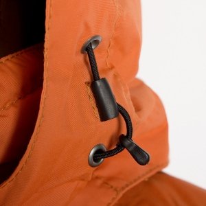 Campera de ski hombre Foresta