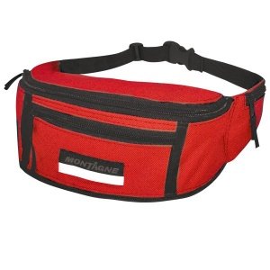 Passport Hip Bag