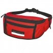 Passport Hip Bag