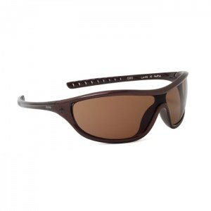 Less is More Sun Glasses
