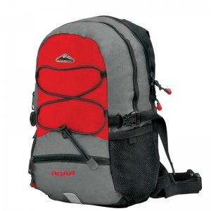 Bora 14 lt Backpack
