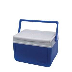 Polar Cooler 5 lts.