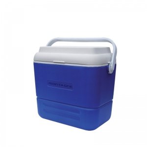 Polar Cooler 16 Lts