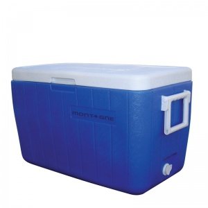 Polar Cooler 46 lts.