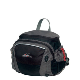 Talent Backpack hip bag
