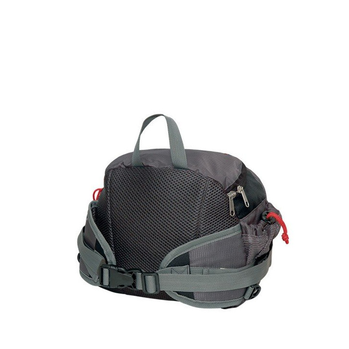 Talent Backpack hip bag