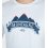 Remera de hombre Mountains