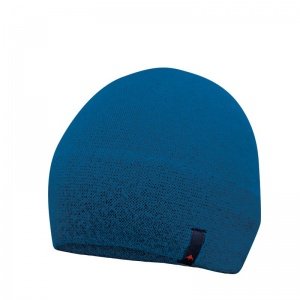 Fungo Beanie