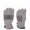 Reinforced Polar Gloves