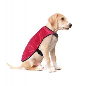 Capa Impermeable Pet