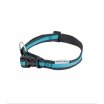 Collar Pet