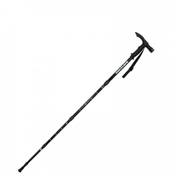 Trekking stick