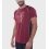 Remera de hombre Crash