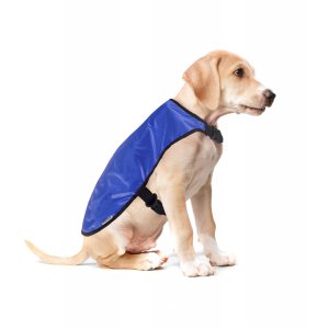 Capa Impermeable Pet