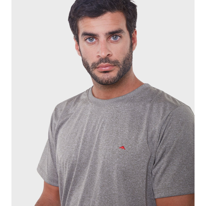 Remera de hombre Asterix
