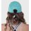 Gorra Training Cap