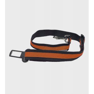 Correa de seguridad Pet