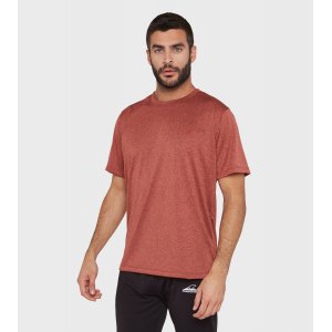 Remera de hombre Asterix