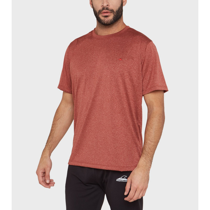 Remera de hombre Asterix