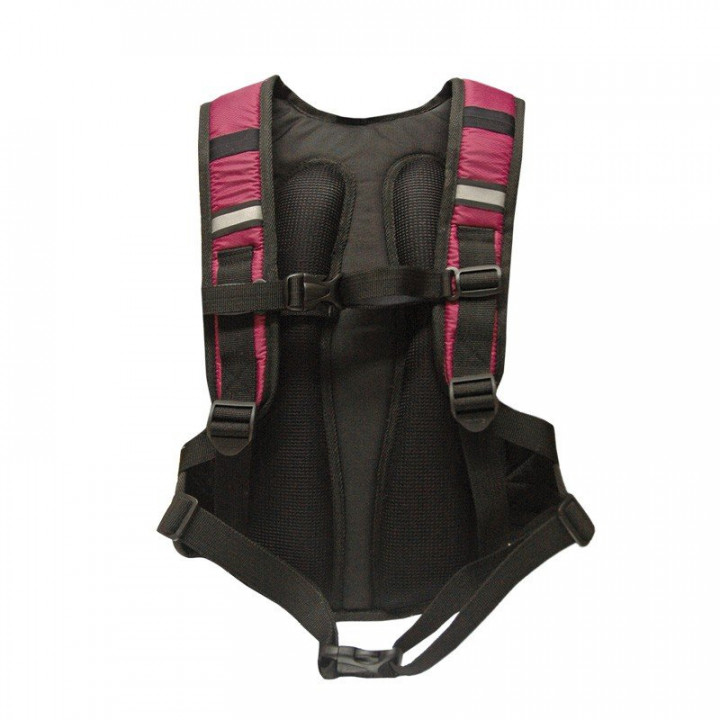 Race 4lts. Backpack