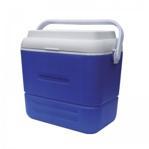 Polar Cooler 36 Lts