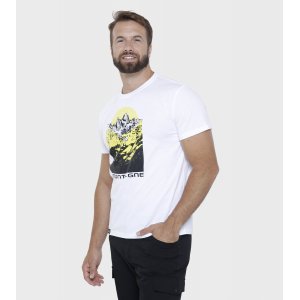 Remera de hombre Tebas