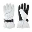 Frost woman's Glove