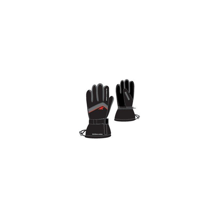 Adler man's Ski Glove