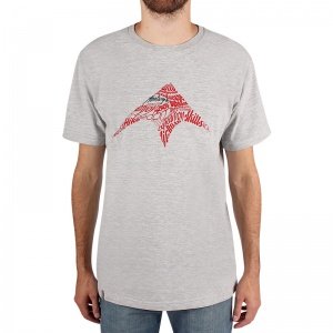 Remera de hombre Type 