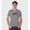 Remera de hombre Ridge