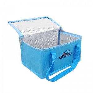 Cooler Bag 6 lts. con manija